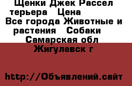 Щенки Джек Рассел терьера › Цена ­ 20 000 - Все города Животные и растения » Собаки   . Самарская обл.,Жигулевск г.